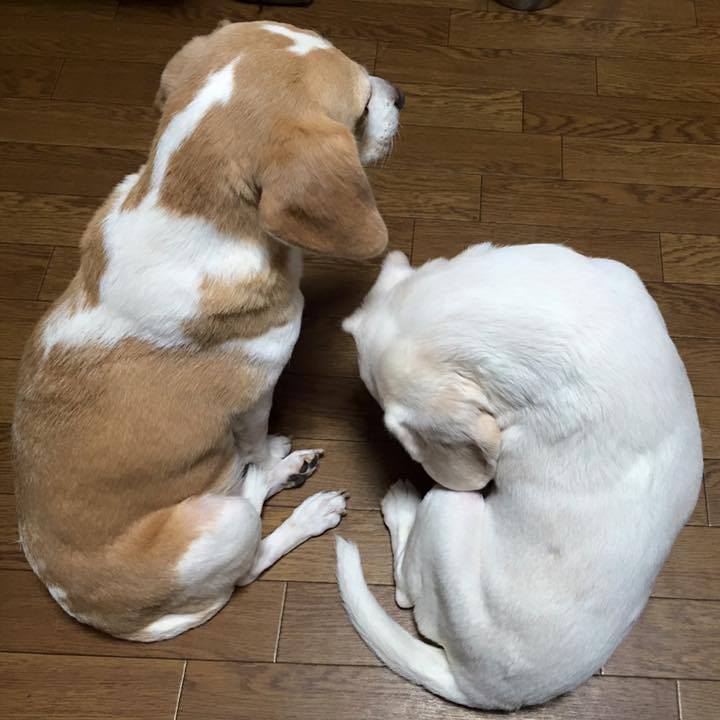 Fd9a4d8a 8ad6 401c 932c 8f9d9cbffc3f 1572676311205