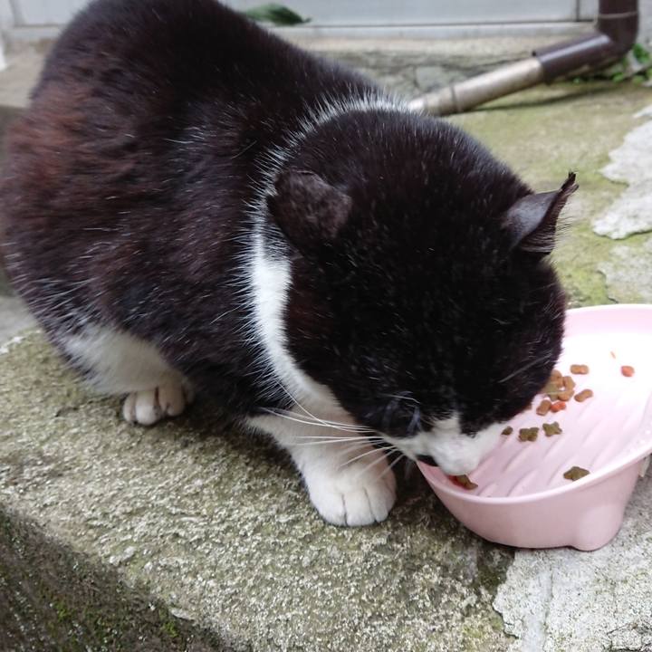 Fd9a4f5e 2725 453d aa91 2b4dcd22cb82 1681808598354