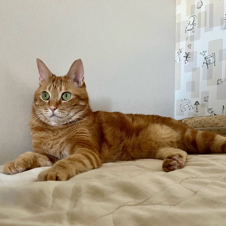 Fd9a71cf 90eb 46b4 86f1 91021243fd12 1725148713735