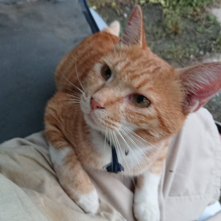 Fd9aaa3d 7bd0 4589 844c 9b0b3d7e3230 1568149068719