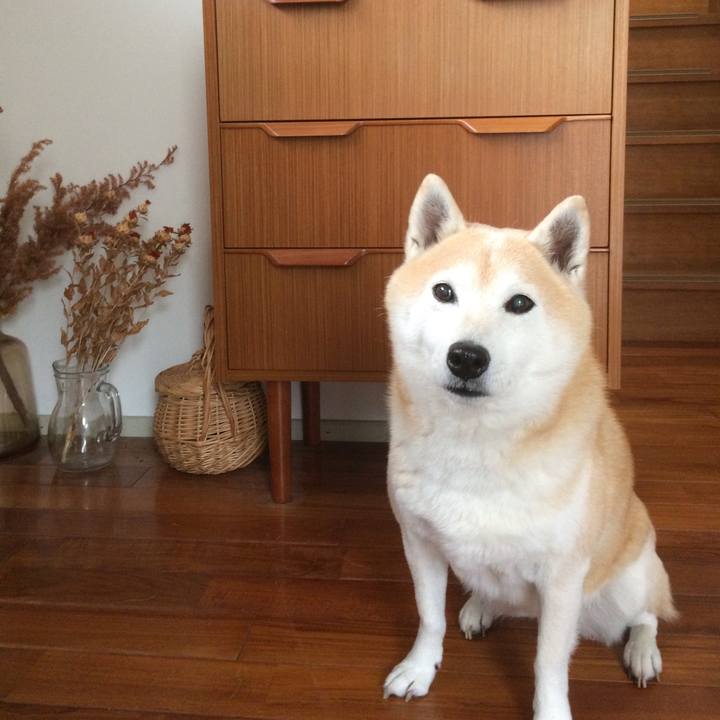 Fd9ab413 7ffa 40ff a2d6 00b81a8c19c5 1582554028458