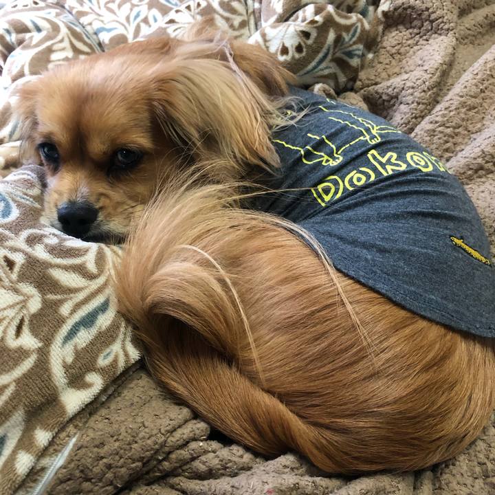 Fd9ace4e ae98 4084 b28f d826f4dbb199 1545522395603