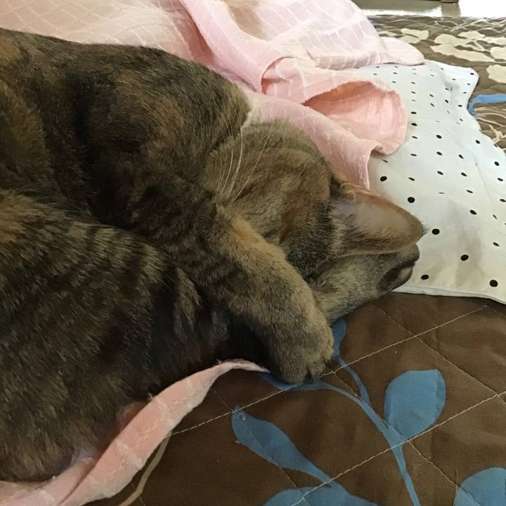 Fd9ad297 6afb 4ae7 95a6 62c5e93c61d2 1650357956442