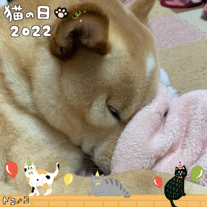 Fd9af172 4466 4ce6 b94b 5cb4f9789687 1645529769016