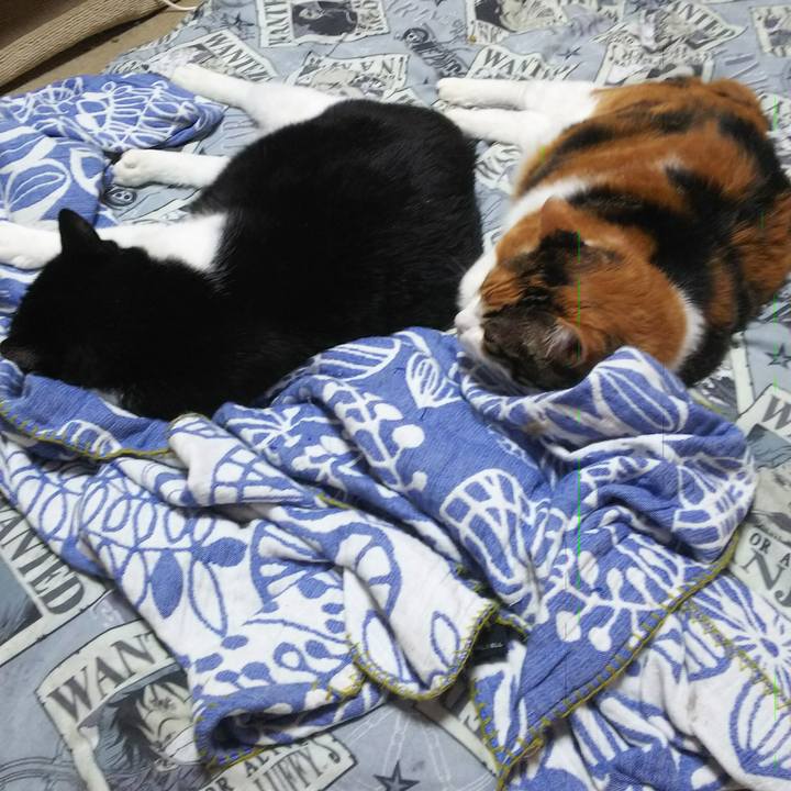 Fd9afb46 f0a4 4227 9b06 3a03bdcae918 1532827136507