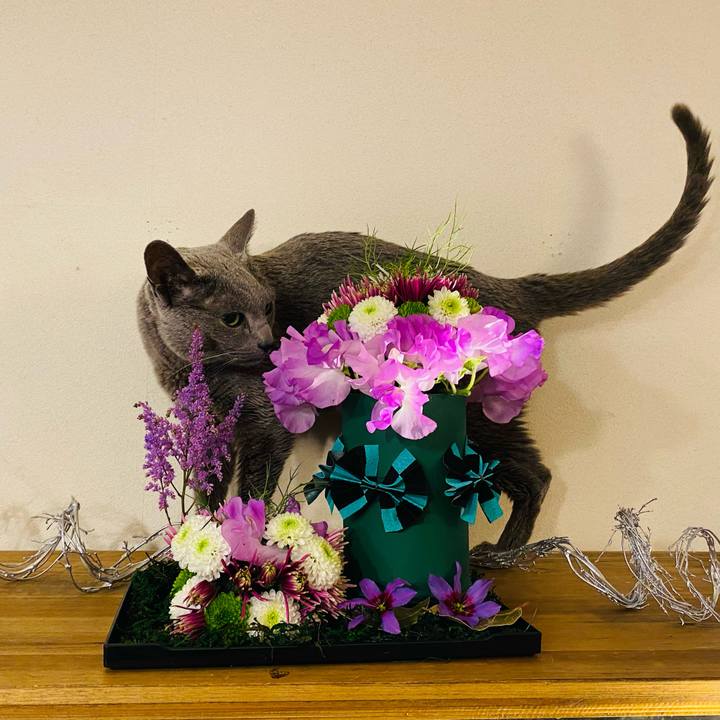 Fd9aff6e 1c5f 4c06 8d0c 9a9f7e68e255 1611544319268