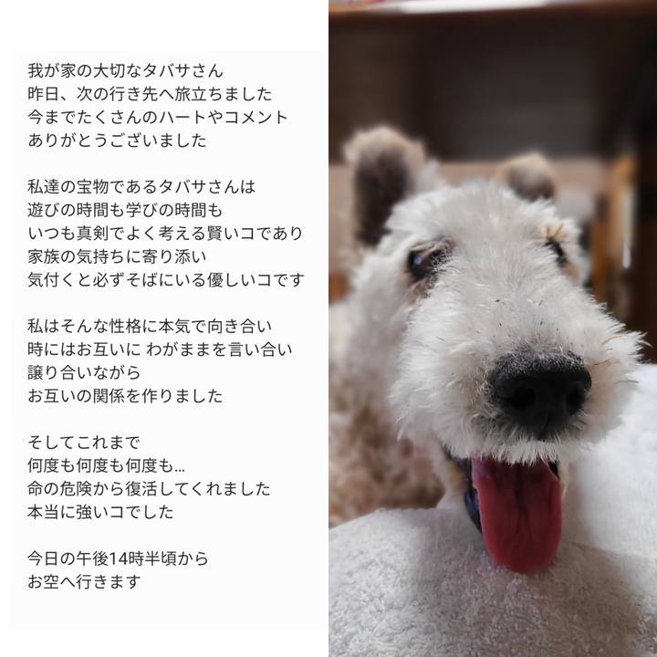 Fd9b0950 35d2 4158 9435 2e67fb78d8dd 1721688013447