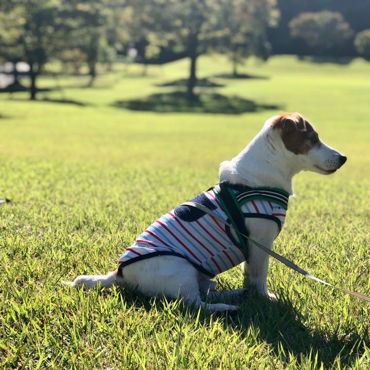 Fd9b0aa5 28c9 4c2a 9f30 30c5713ac201 1729507384674