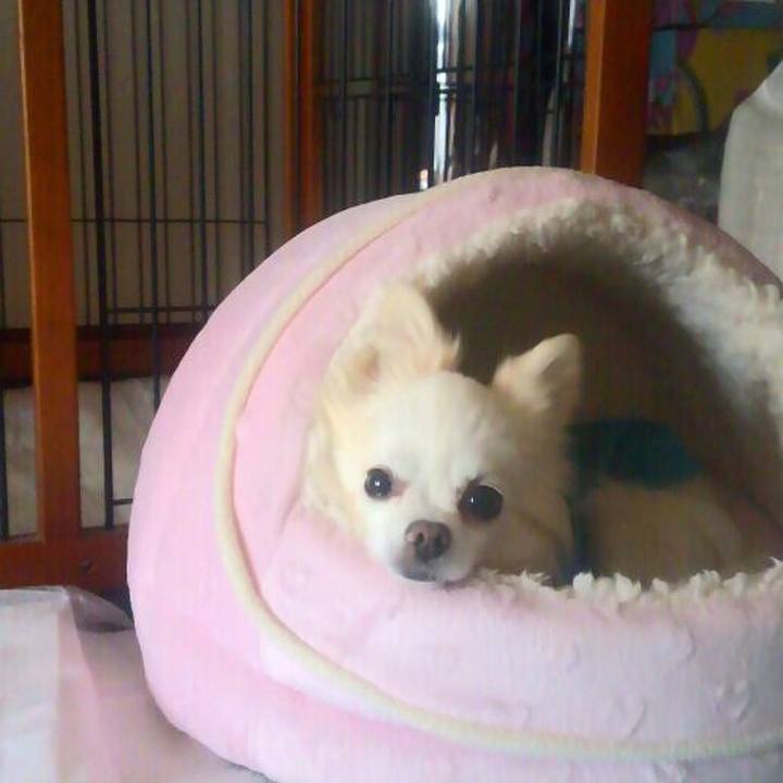 Fd9b68cd 75cf 4f25 95c0 aa274f219eb7 1550099383268