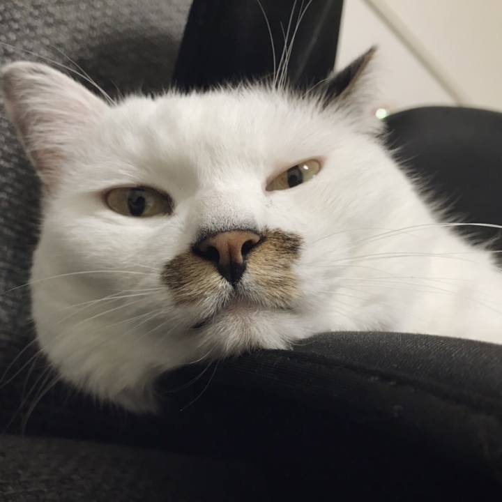 Fd9b7099 aa0a 4f8c b80c b8fa8fa5a885 1568094940575