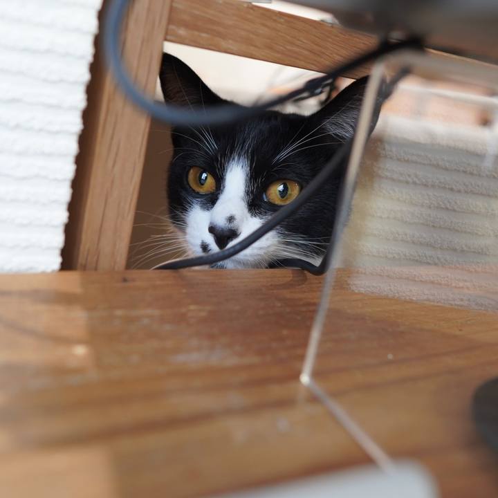 Fd9b8220 0c71 4e89 a81d c40ebf10dbf7 1586479105079