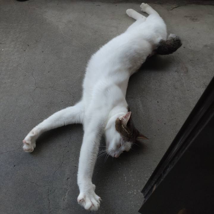 Fd9b9fff 06e0 4271 8349 7c8fec314179 1690434707500