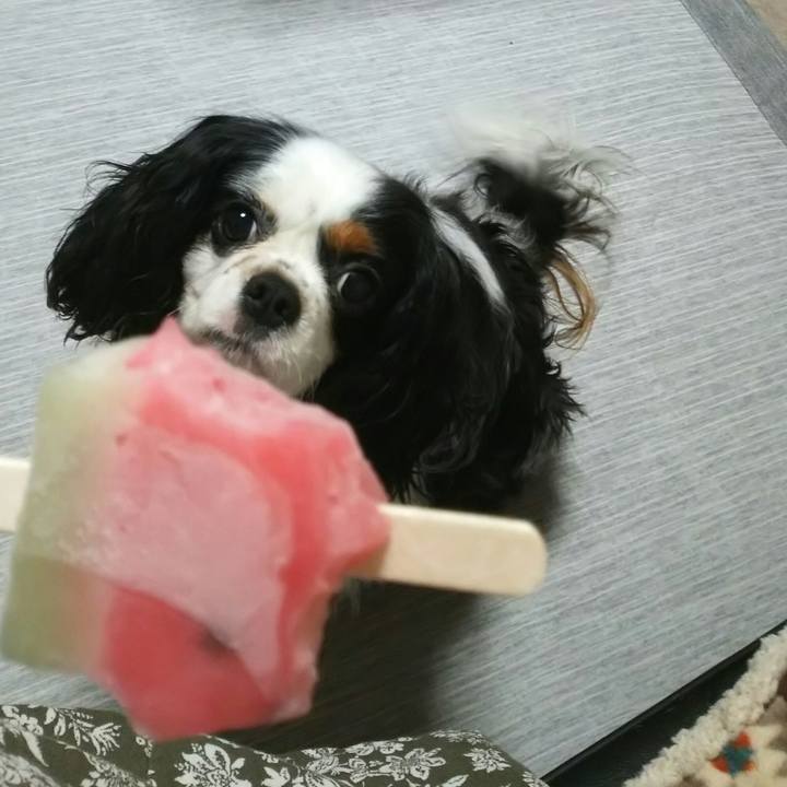 Fd9bfb7a 9c32 49e5 821b 683350648521 1531319821782