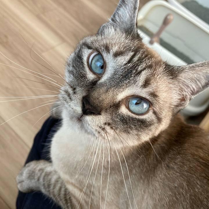 Fd9c93b4 02e4 44a1 87ae 902255ec3938 1653377150163