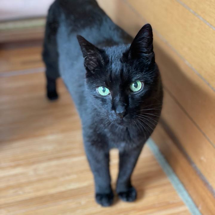 Fd9ccae4 27ad 4a70 aaf4 93c0de178808 1650589514264