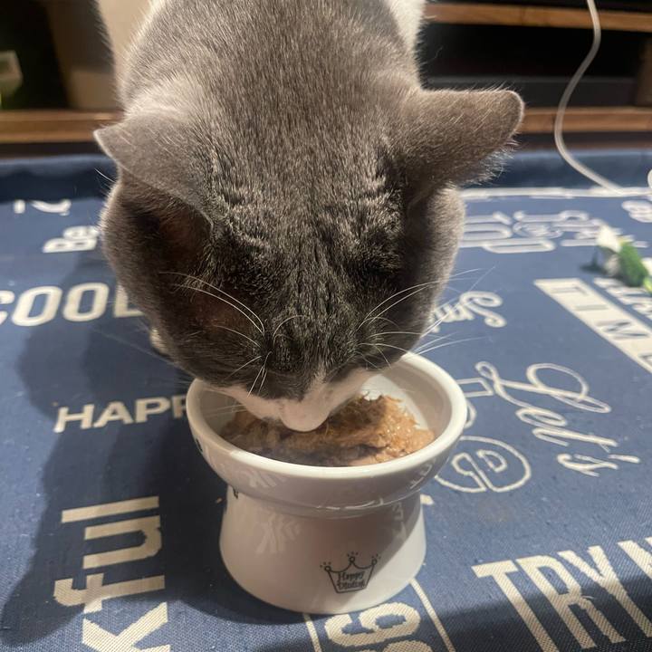 Fd9ccb89 c417 4560 b2f5 e8e3d7a7fff7 1730030715064