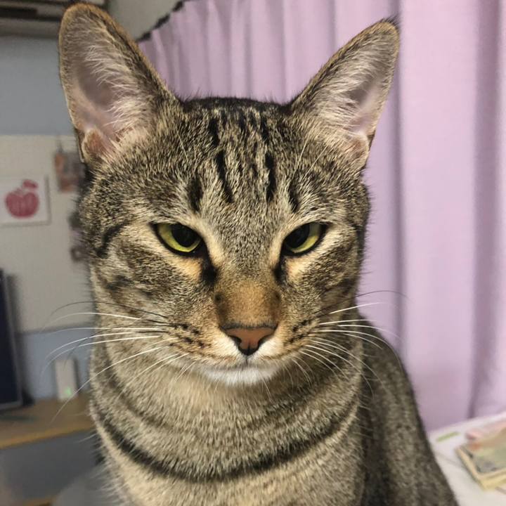 Fd9cfd17 a197 4a0b a416 98667aeba859 1561551849666