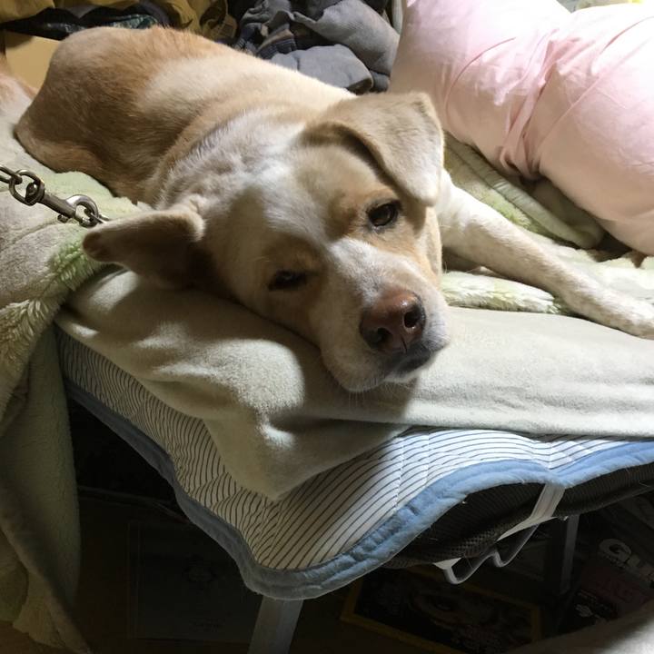 Fd9dcf6f 39ac 4ef9 b041 0971d79e0a57 1516518200791