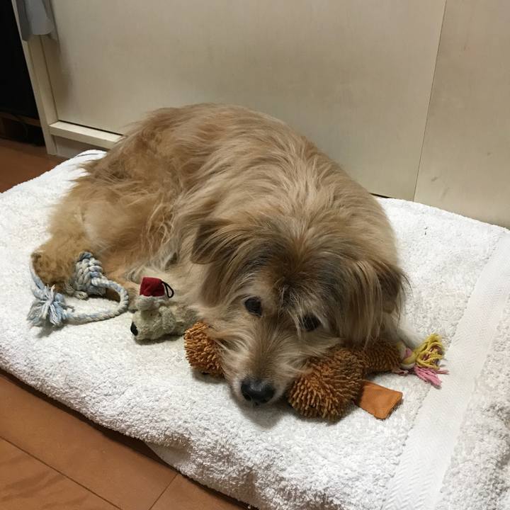 Fd9e0472 c5a8 4922 93bf cb8de0960317 1578757404518