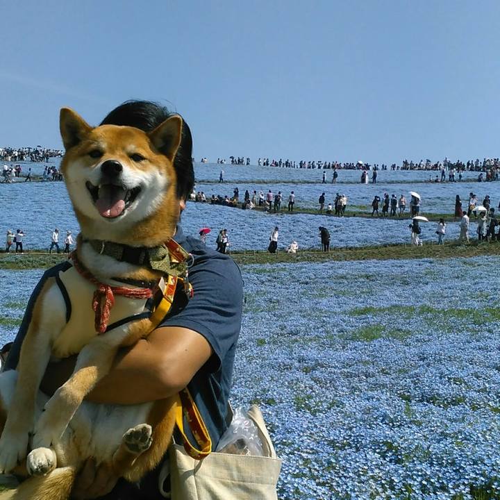 Fd9e0a1a 4db0 4d25 bfb5 78fbbe00a28a 1524374656098