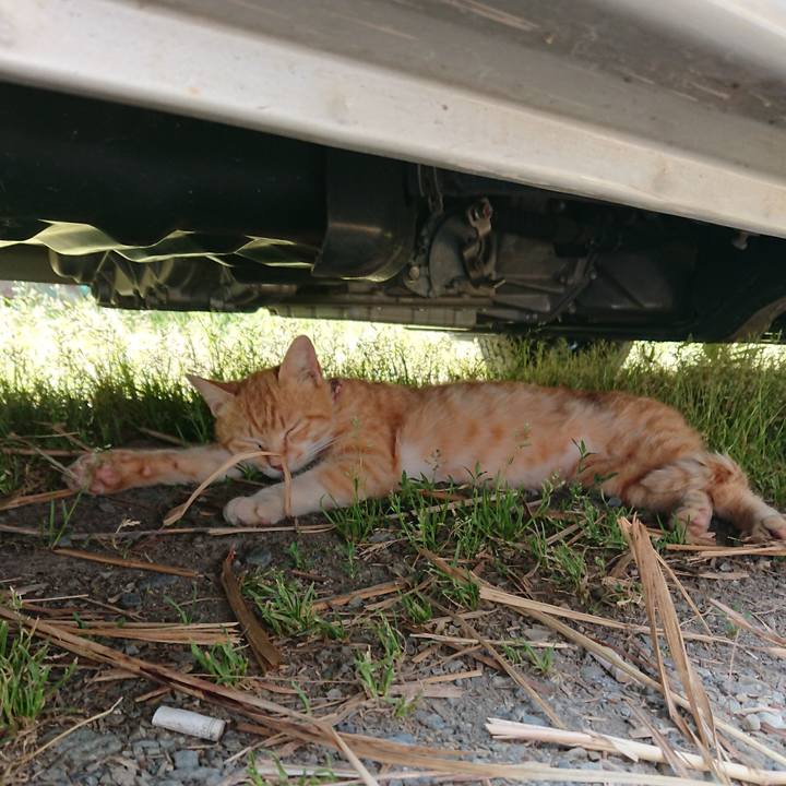 Fd9e203a 6284 4e3f 89e2 15e23fc35a92 1559443899544