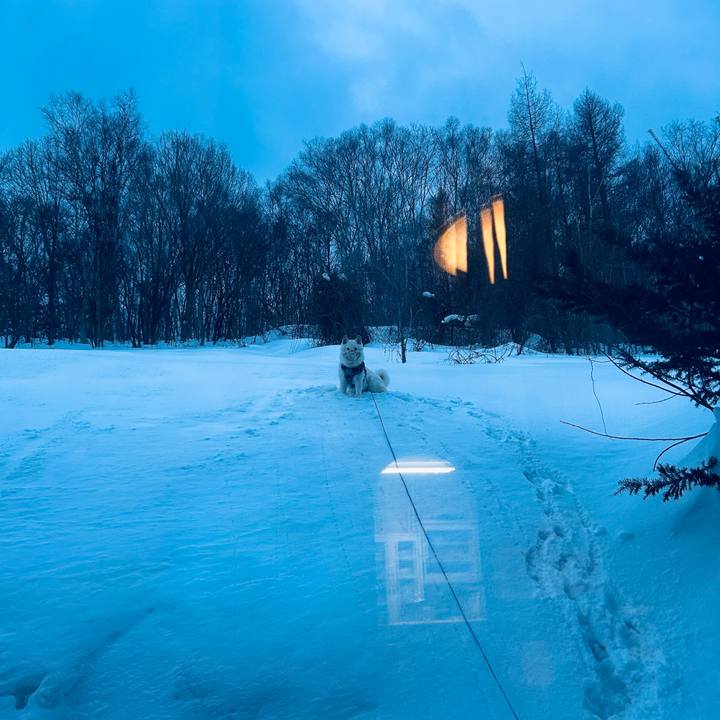 Fd9e234c f871 4549 a80a 3fe788d0a4d6 1739917607443