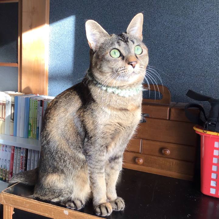 Fd9e3055 09ef 467b 96de 1f2407cf9ec0 1644194155230