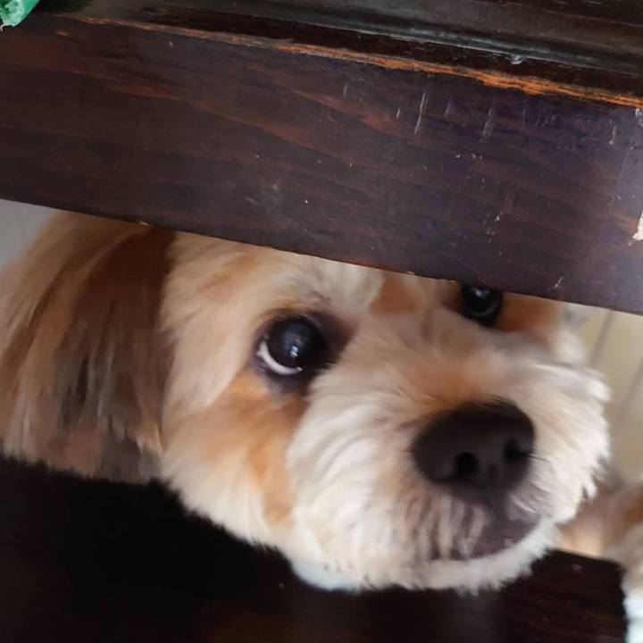 Fd9e35e0 0a67 4e6d acb0 435f7bcafc48 1591532500293