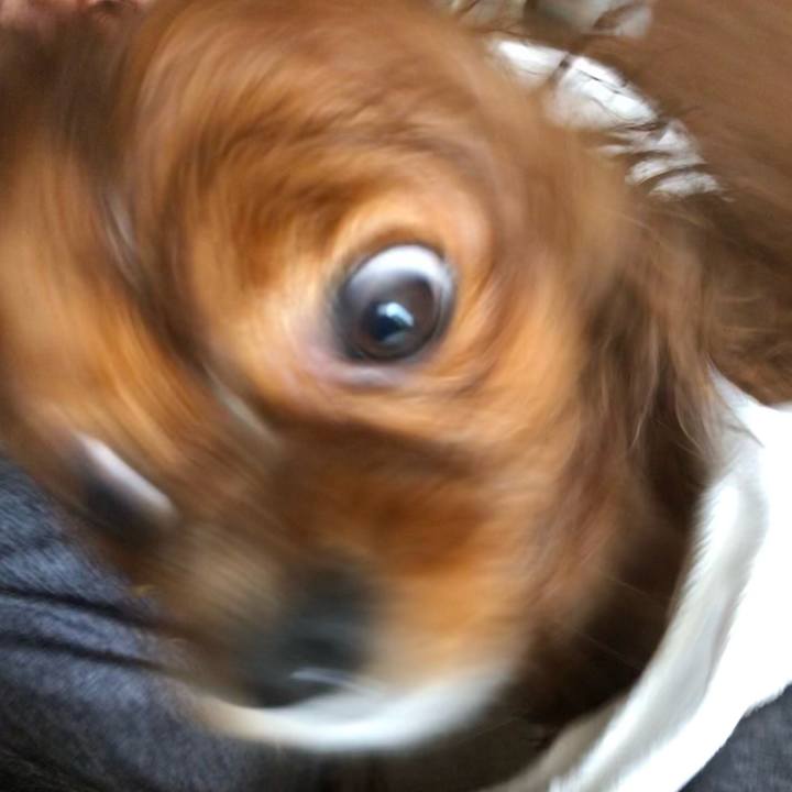 Fd9e3a46 a52a 4c21 9254 5b249a4c6ec5 1620447129195