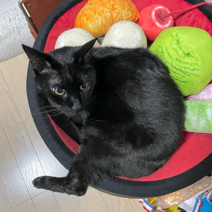 Fd9e3baf 83e2 48a0 ae2d 1322f6a3a689 1679652459424