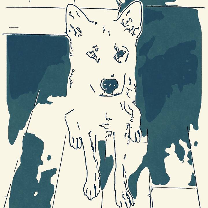 Fd9ea22b 8881 44b1 b10d d953116f6866 1541679456997