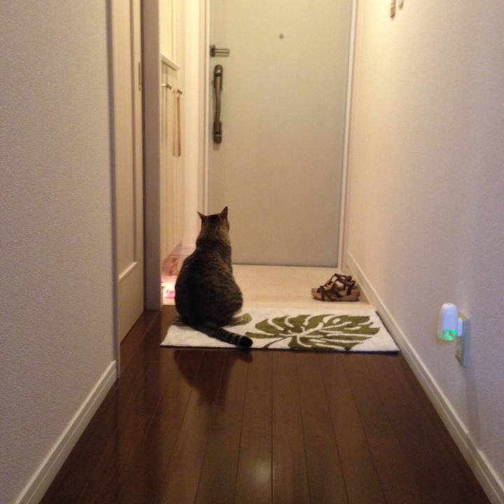 Fd9ea47d 8050 4902 867d 6e522a97ec24 1593650213799