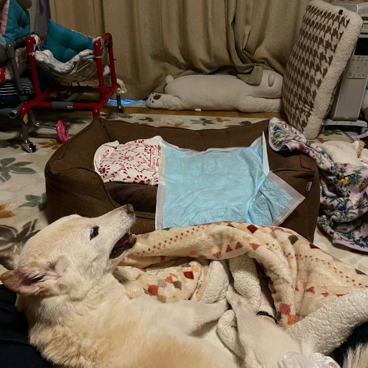 Fd9eba64 dcac 47d3 ac0c 0977787f98a1 1676670032167