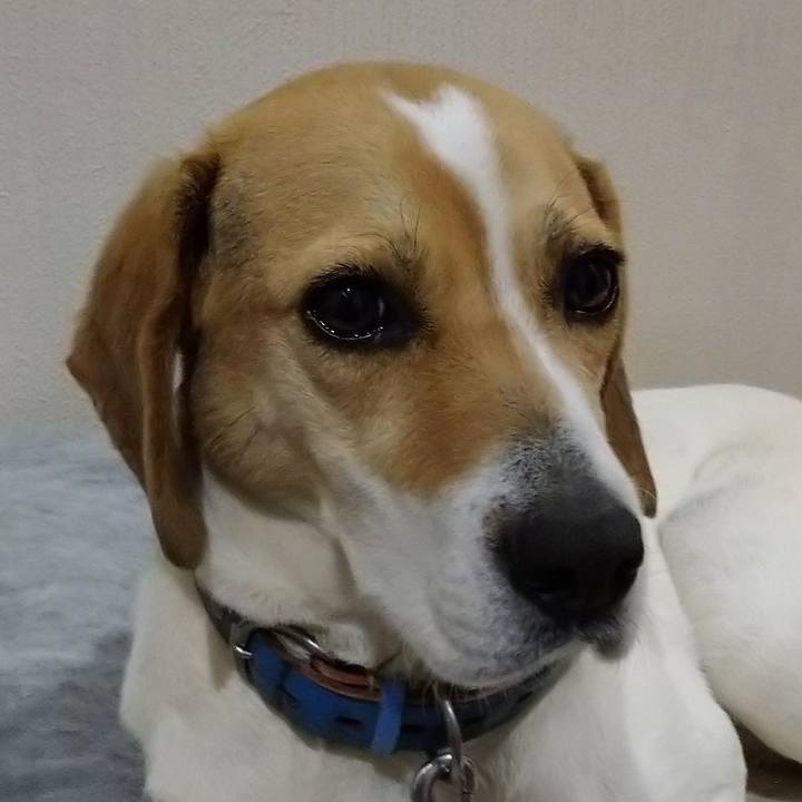 Fd9f3c28 1dd1 4d1f 8ba1 0c16e01ceb6b 1616927429750