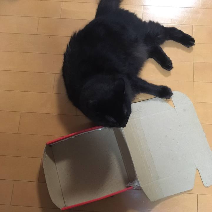 Fd9f959f a839 45bf ba86 a8c07a9199c2 1508993643808