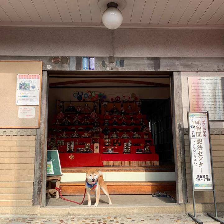 Fd9fe2e6 a5f4 4b8f 9eab 34c28e6c3ec6 1583231940479