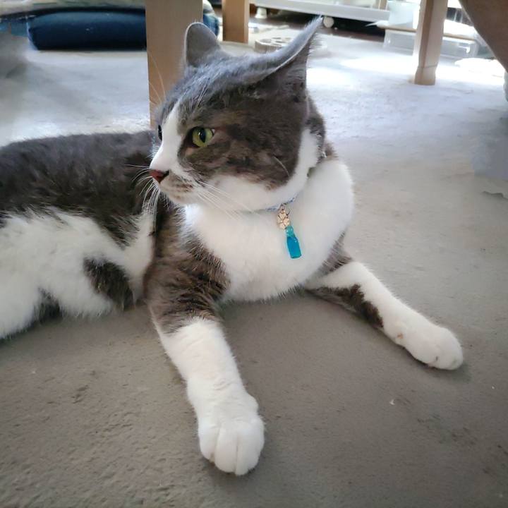 Fd9feaa6 1f2b 4832 bd04 169101cea8e3 1722292003102