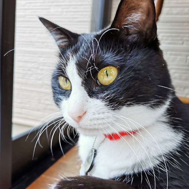 Fd9ffa02 687f 4dce 9895 d7399985e2f4 1664770584370