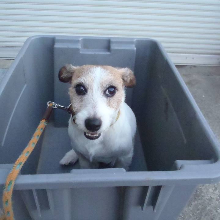 Fda047c3 adaf 4178 a0ad aa46c80cfbd1 1533445052622