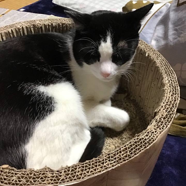 Fda05658 2e3f 46d1 904b c0519299bcf2 1708505353198