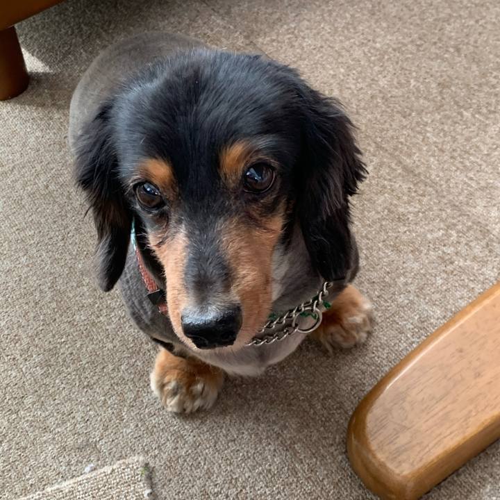 Fda06171 7822 4f13 b28c 98693ec5d0d6 1592171981039