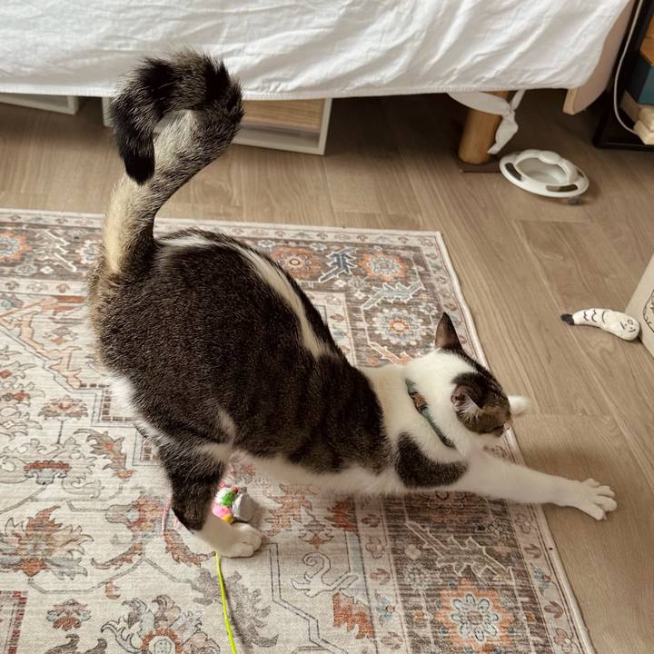 Fda0825b 3b47 4174 a860 40efe3175acc 1776943986680