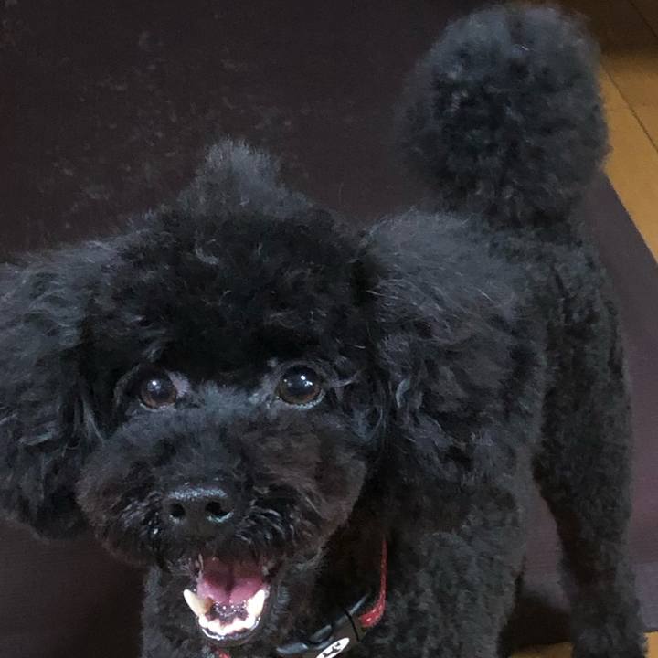 Fda0a604 633b 4453 930b 900891828c32 1589103640759