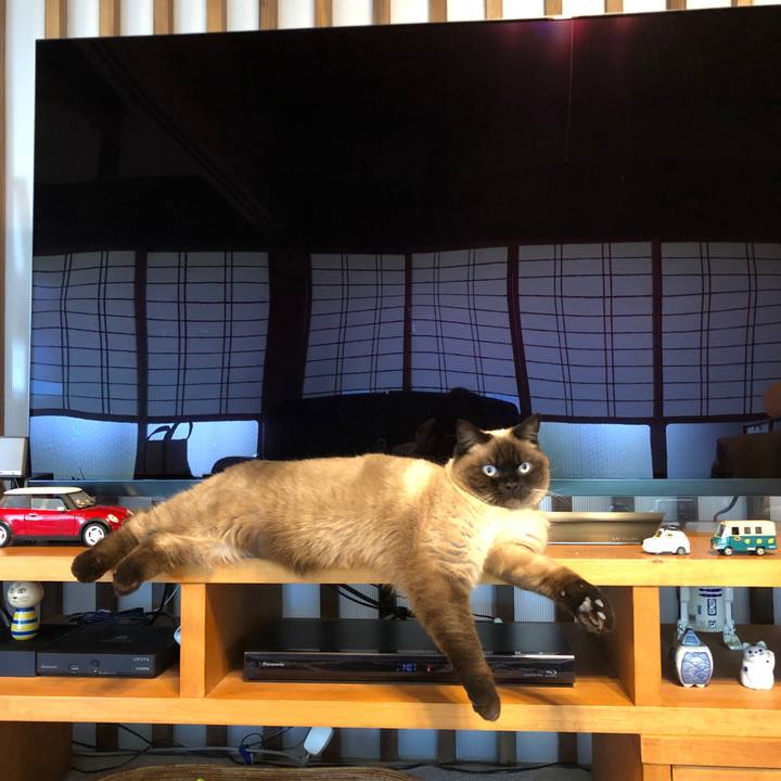 Fda0a696 3c31 4b79 a388 22d3bac2ff1f 1619484265058