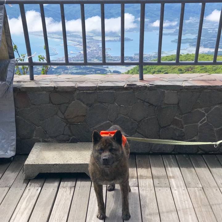 Fda0b726 9048 4d01 8d8e b691538e07f2 1526817681677