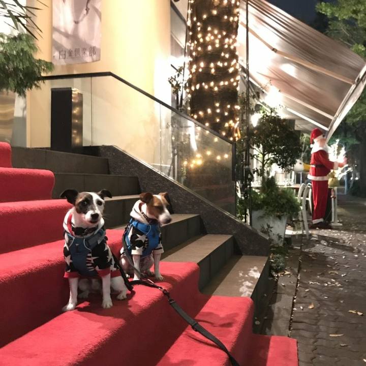 Fda0e168 a131 446c 8be8 525191539b00 1543404218686