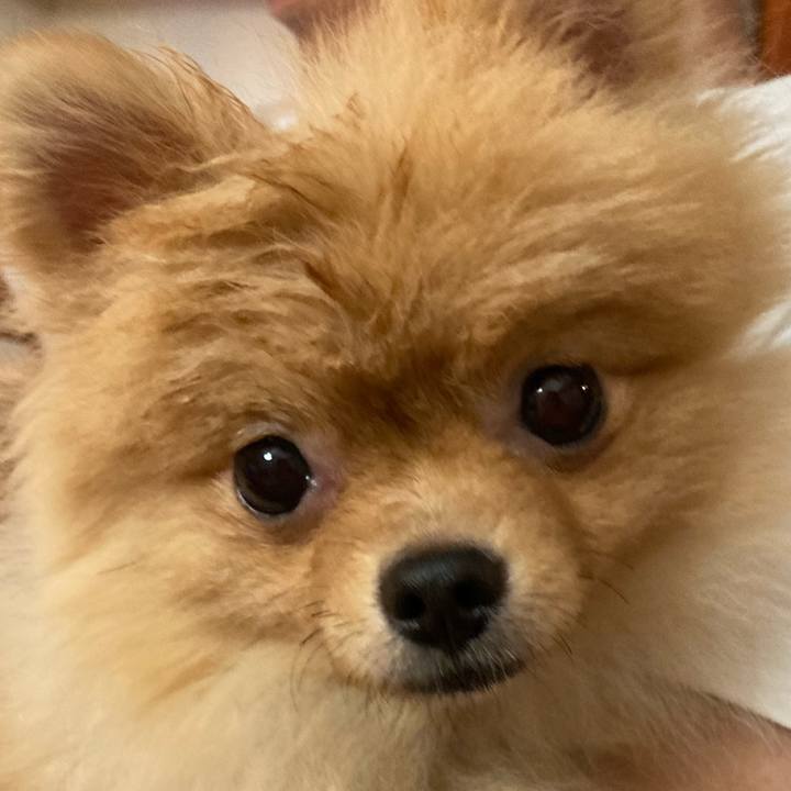 Fda0f001 30ae 4a4e 9934 b3c6f19788a5 1661295750716