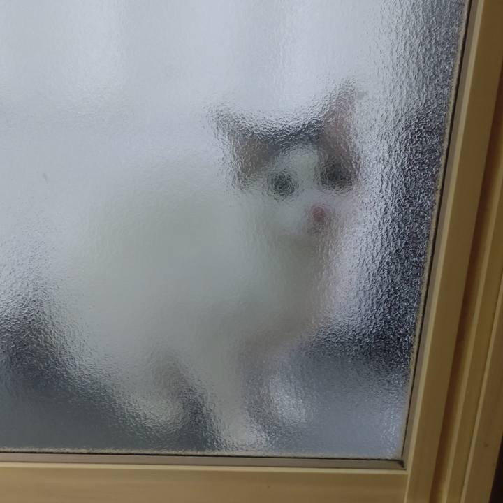 Fda113cb 57a9 479a b7de 6204aafa139c 1735869458724