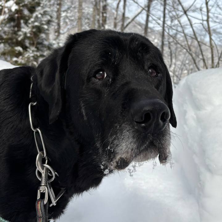 Fda13f33 722a 4d17 8034 bac5d4f03793 1770036363646