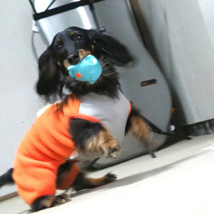 Fda14cc8 cafd 4000 b01b 2fd6208ed33e 1547522303722